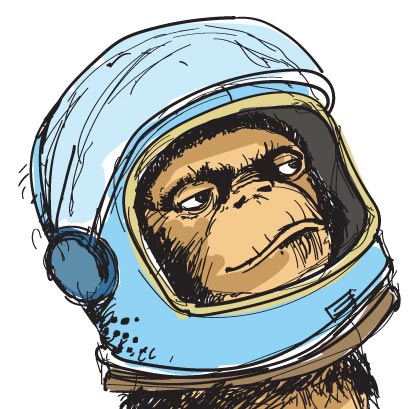 space monkey illustration at optimoo